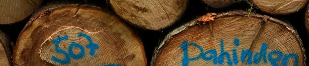 2023 10 30 14 32 42 Window