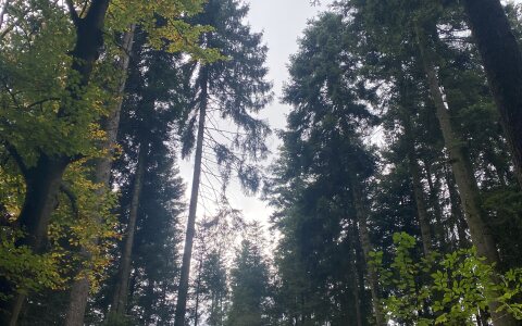 ERFA-Nachmittag 2025