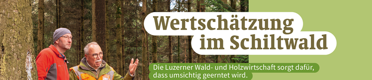 Lignum Zentralschweiz v3