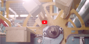 Paletten für Dynamo Sempachersee 